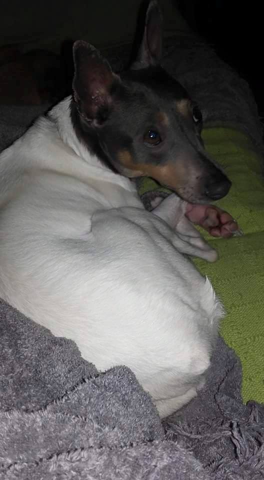 12932776_1179299042093874_4670909027046828013_n