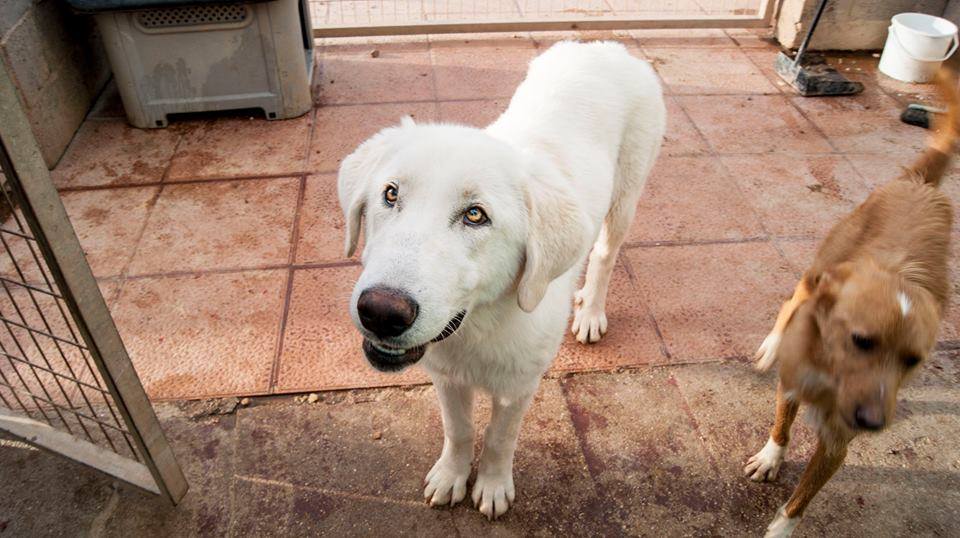 13000119_1191455237544921_3361168251915467864_n