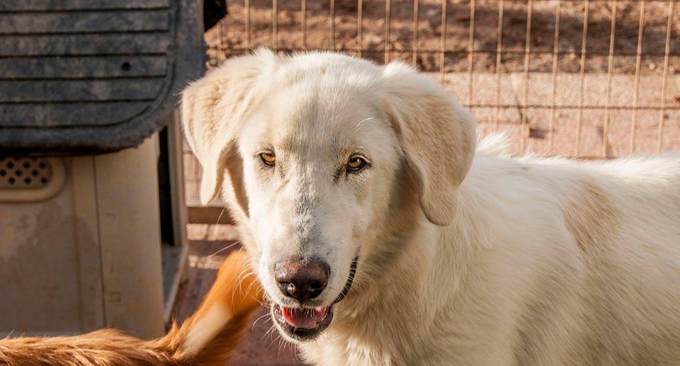 13006597_1191455270878251_7996249638330595511_n