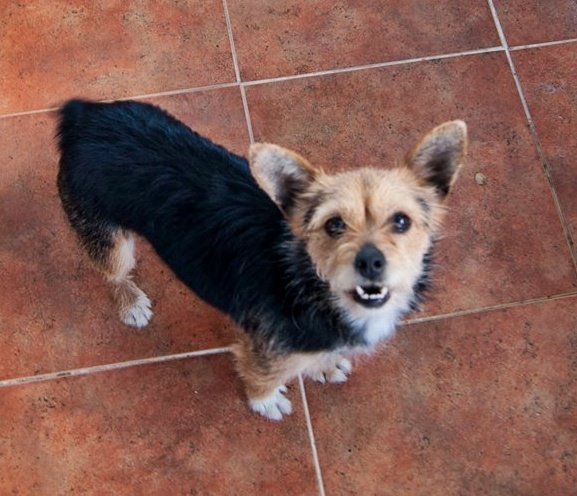 13087772_1203727412984370_1943278058821937052_n