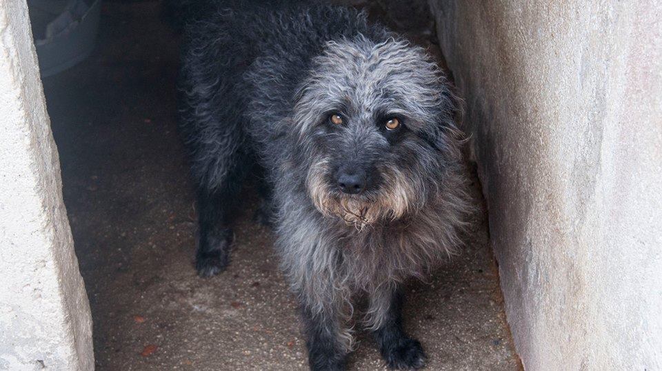 13087801_1203743202982791_1888950004934315527_n