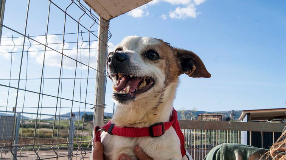 13100673_1203737369650041_8854464394438316303_n