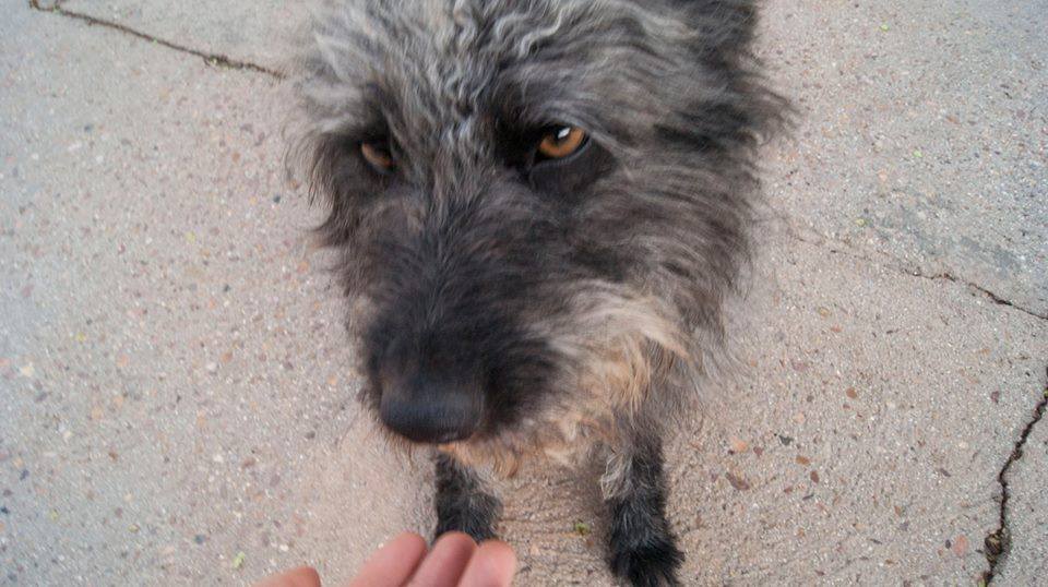 13100913_1203743199649458_146778302962248063_n