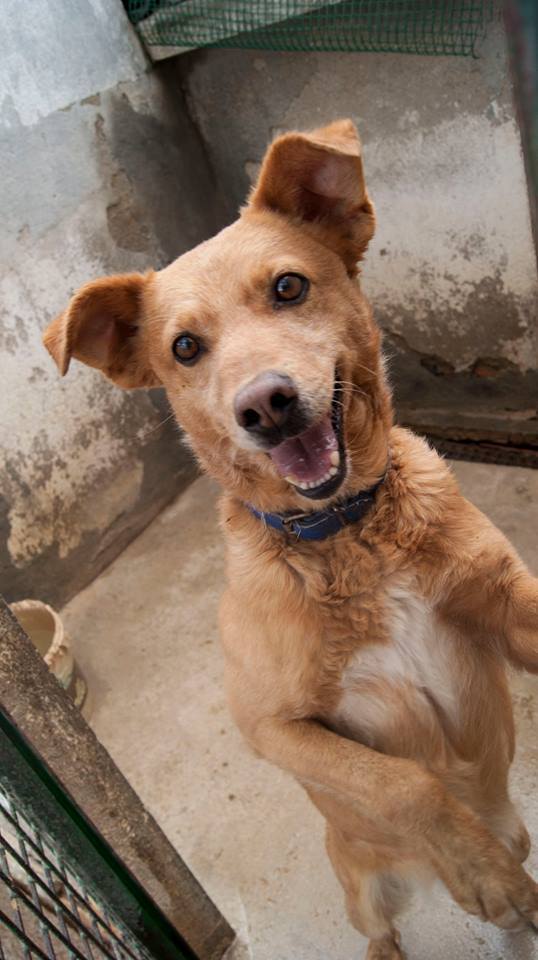 13119073_1206298849393893_3698734105923023665_n