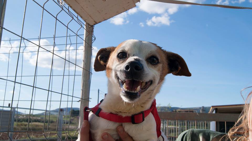 13124553_1203737376316707_2147786357127765042_n