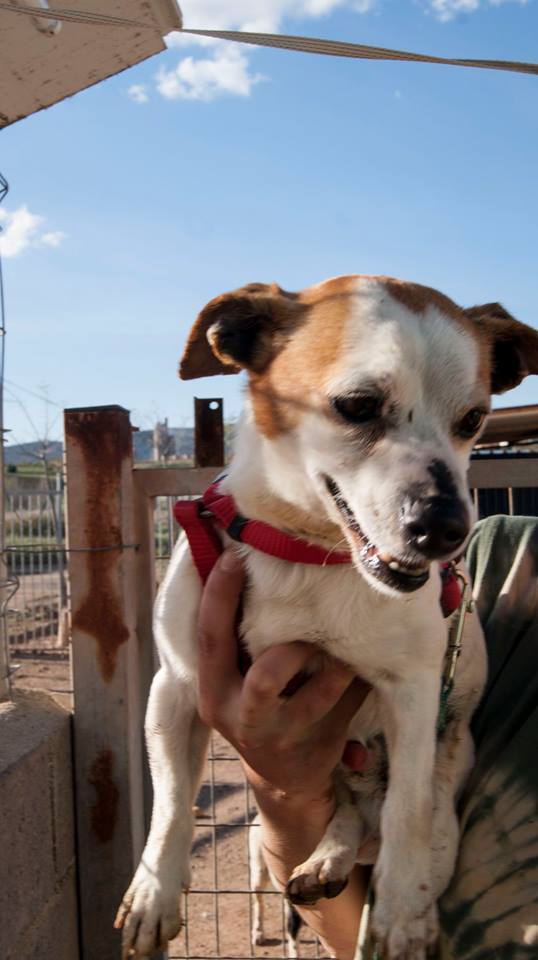 13124767_1203737356316709_7865786161802503086_n