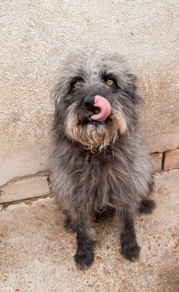 13124835_1203743206316124_1576615976824386251_n