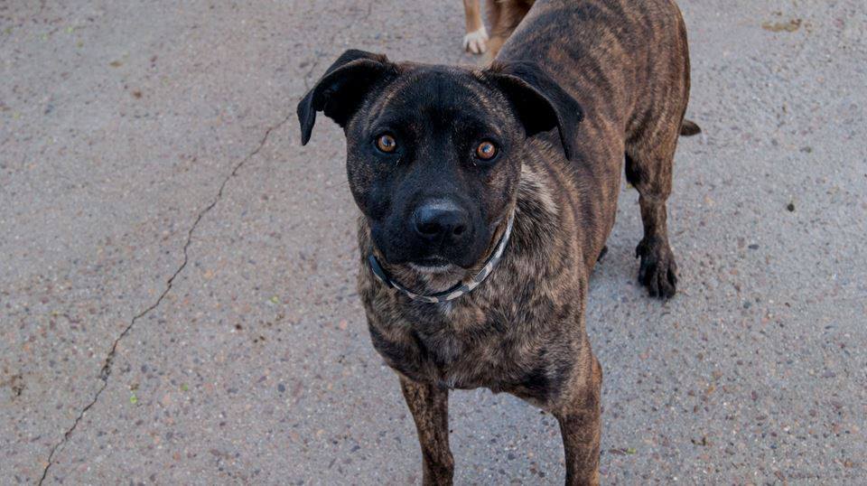 13164395_1206975309326247_967687347264824711_n