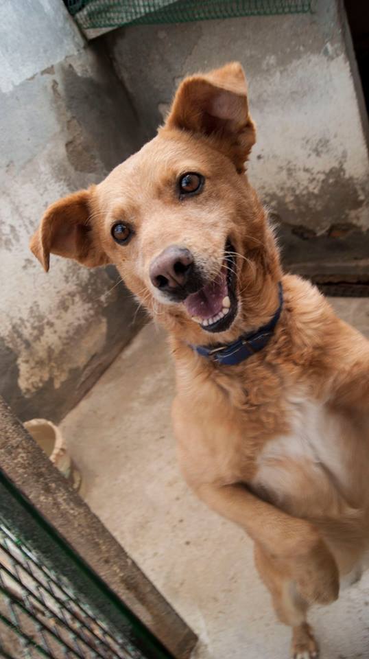 13177828_1206298862727225_5718761805770886155_n