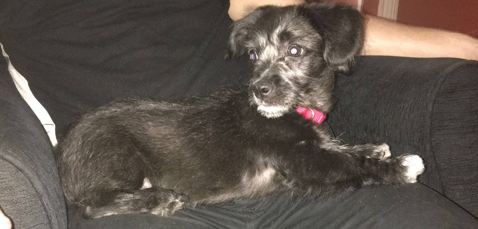 13220592_1215834625106982_1565015903791248295_o