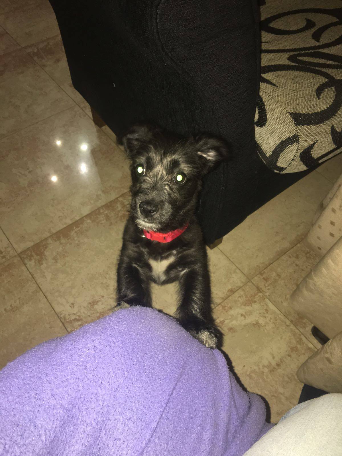 13227565_1215834705106974_723927984485399512_o