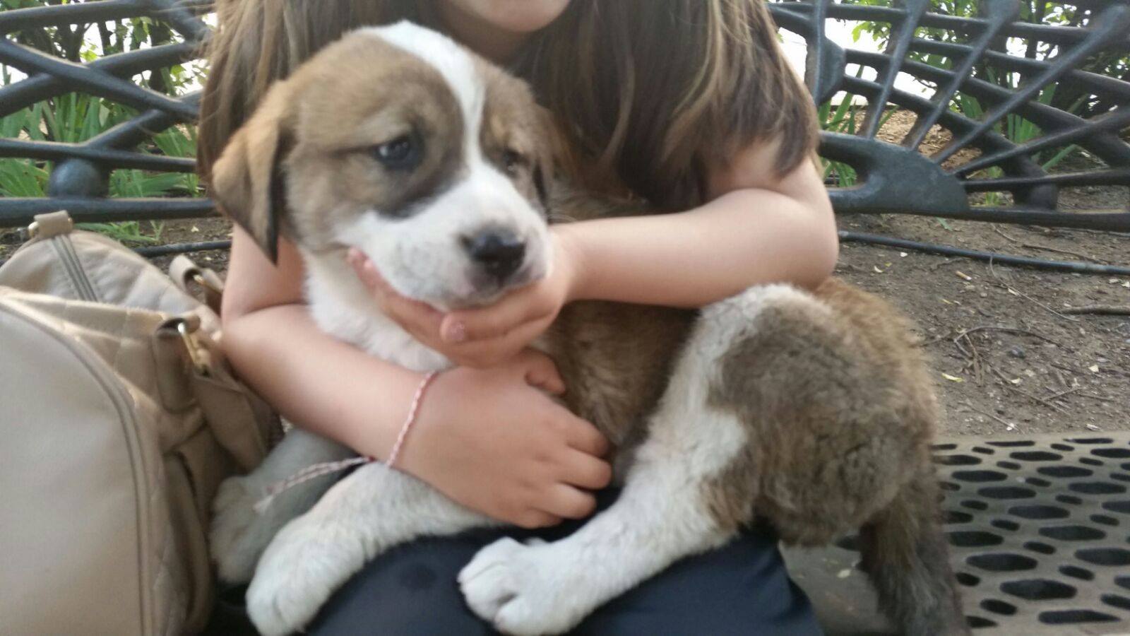 13243973_1214551231901988_2445689705220113795_o