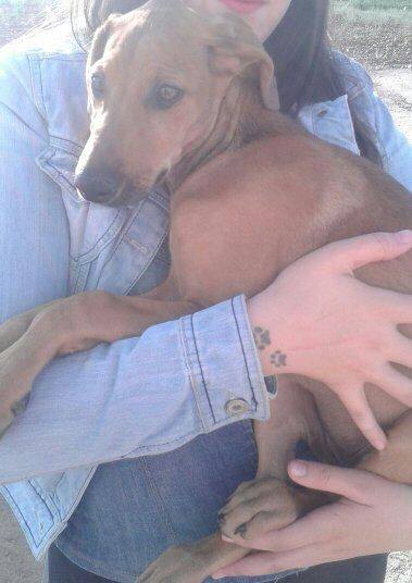 13245357_1214628551894256_8154820886193770786_n