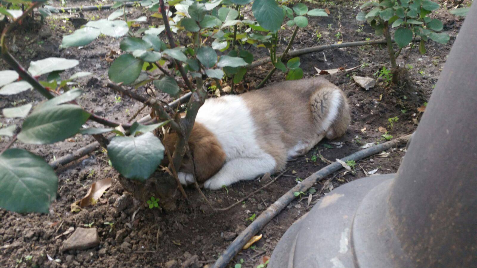 13248398_1214551258568652_6164008432724860481_o