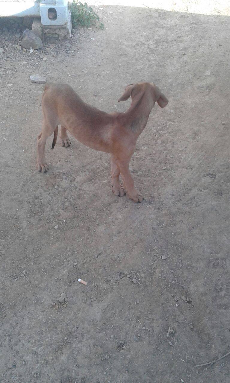 13254755_1214628575227587_7425741176743235996_o