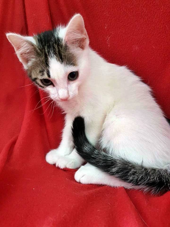 13339491_1224014630955648_8598544740579573302_n