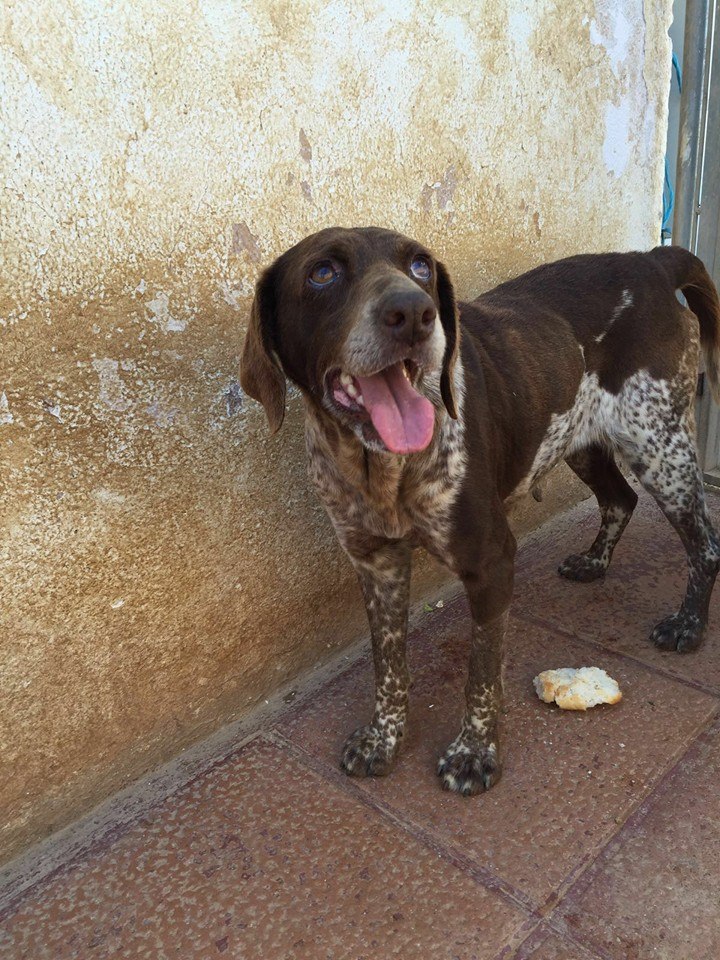 13015484_1197819586908486_4292027935875393376_n