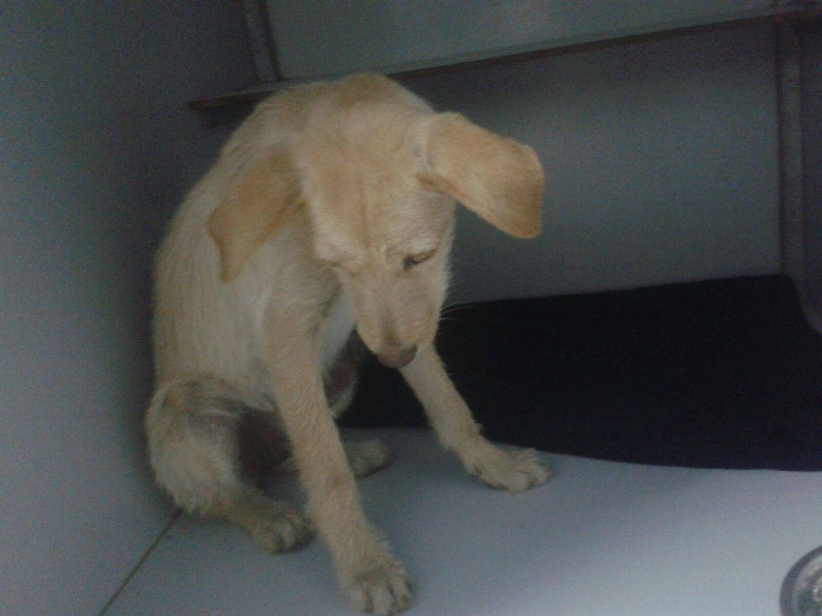 13235103_1219746611382450_5810823073184121063_o