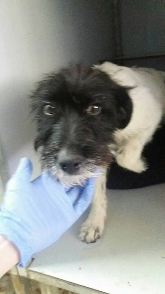 13254300_1215872188436559_5116364996585791408_n