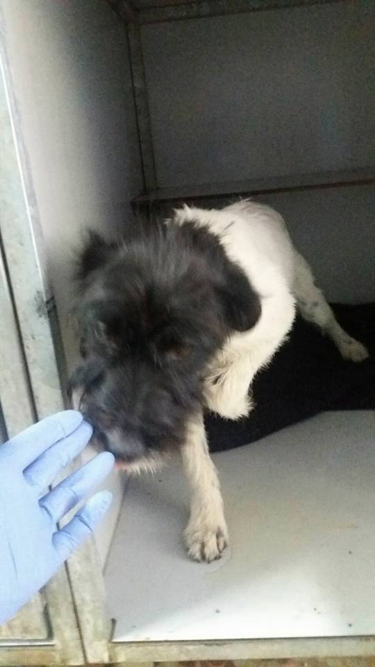 13254554_1215872185103226_6344752896587806780_n