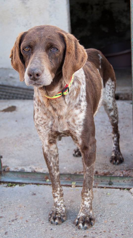 13256280_1217509881606123_7694542464491101078_n