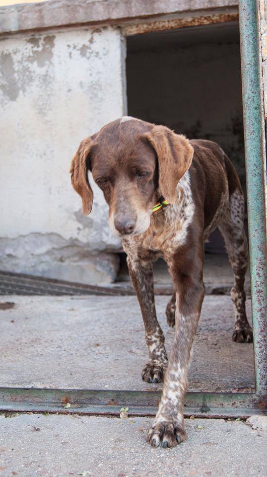 13266105_1217509828272795_6176368244636453982_n