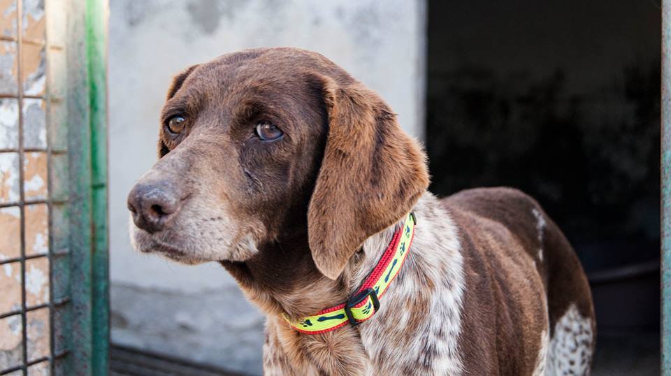 13267900_1217509824939462_4407375866900453603_n