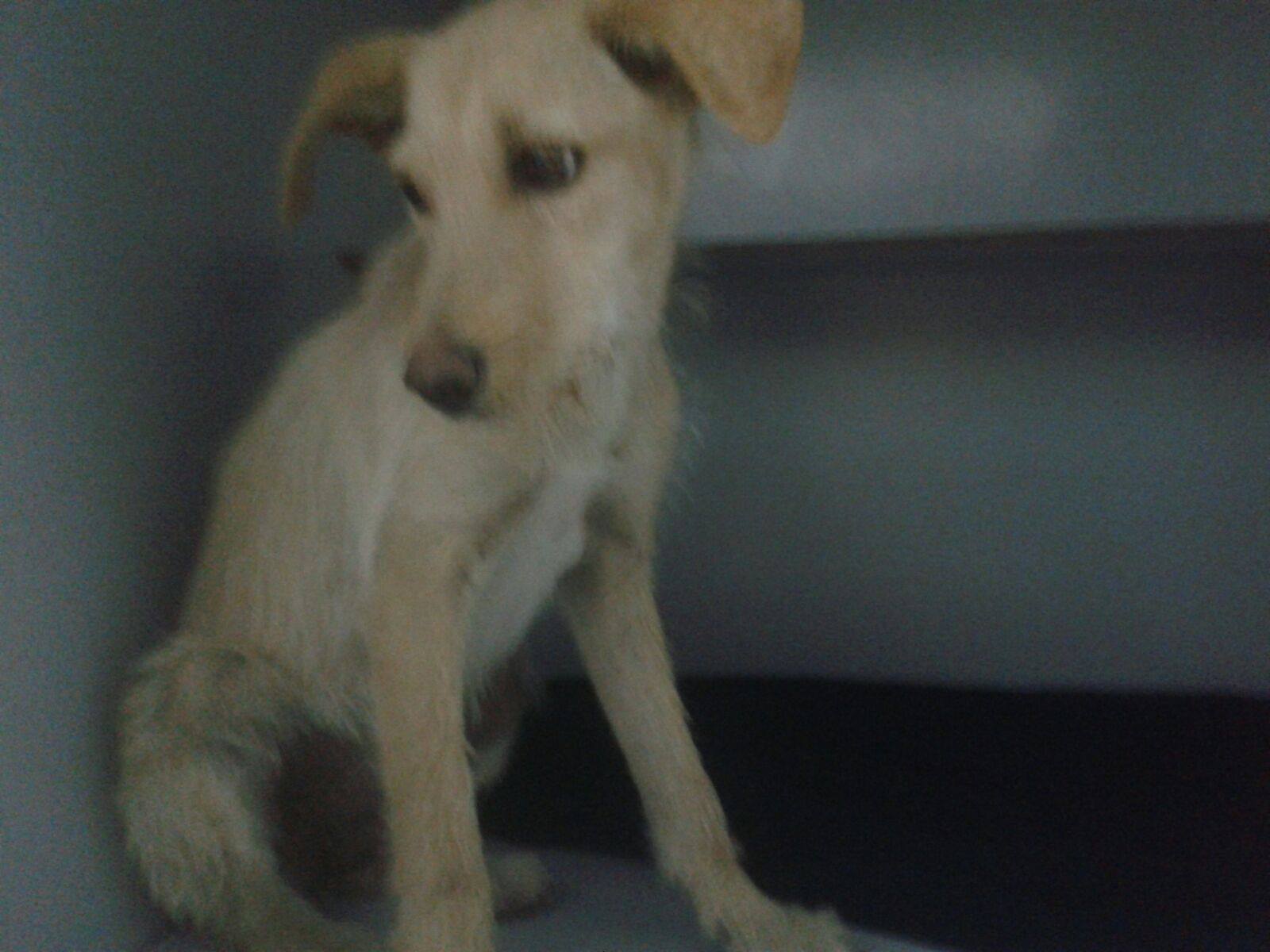 13301559_1219746601382451_8429364915473179691_o