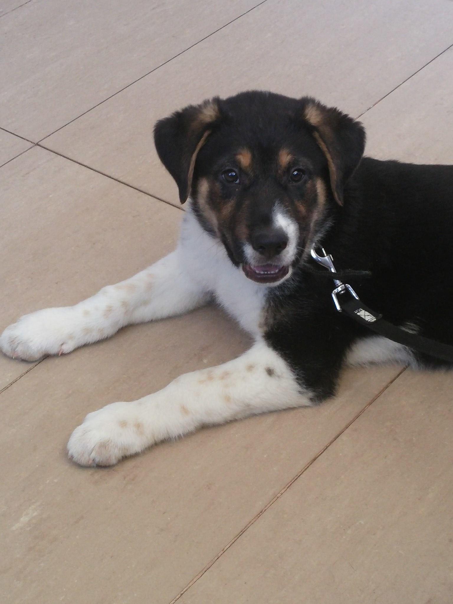 13391486_1230206143669830_1597283557871767520_o