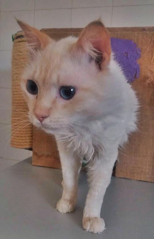 13407114_1232169323473512_2507246092305187974_n