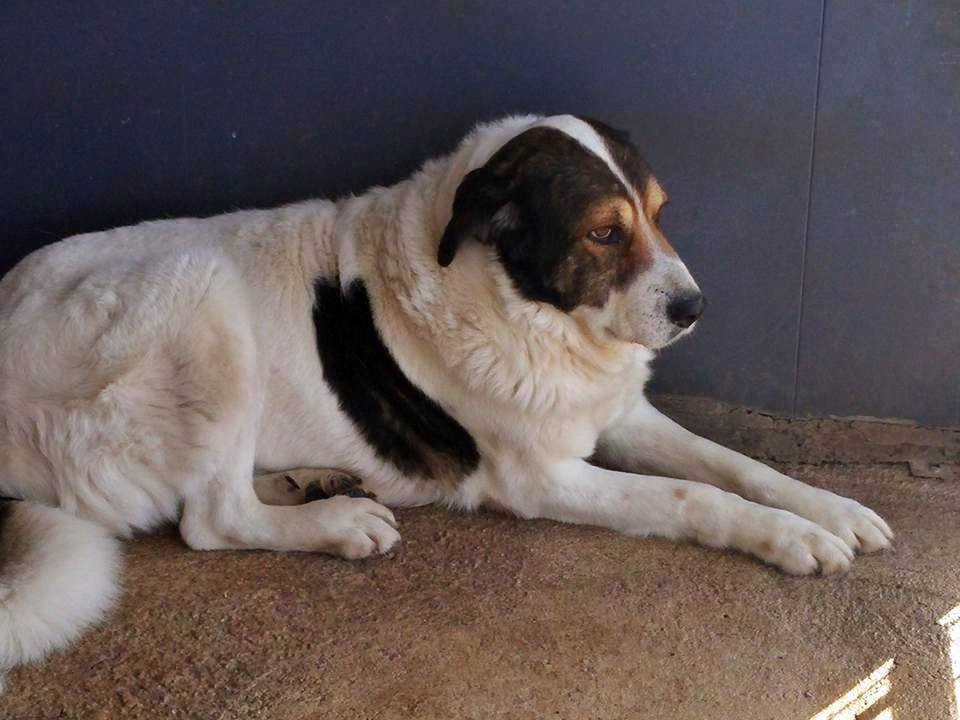 13407339_1232259280131183_7271248385605908595_n