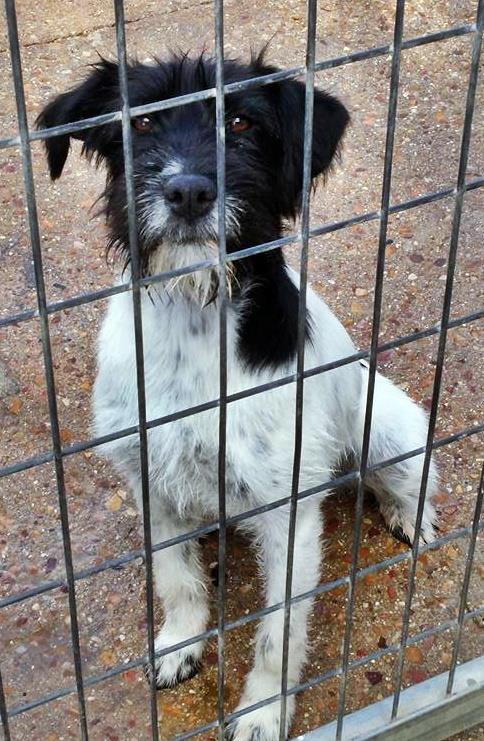 13412963_1233574179999693_8715360851295265361_n