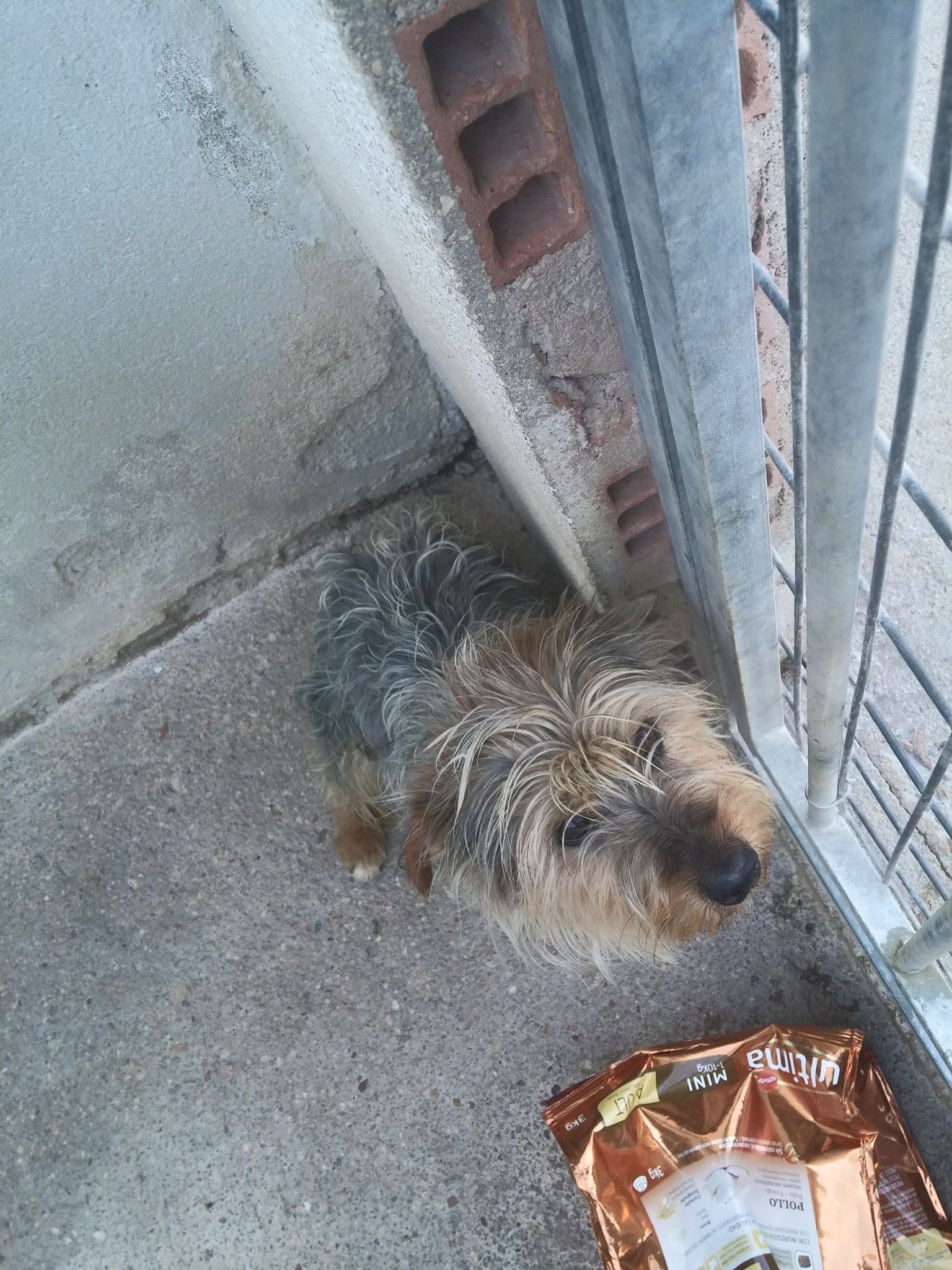 13417008_1232156486808129_2208101621883523845_o