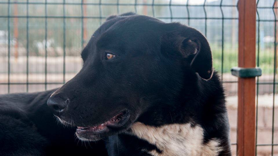 13418801_1231494453540999_148037841458522482_n