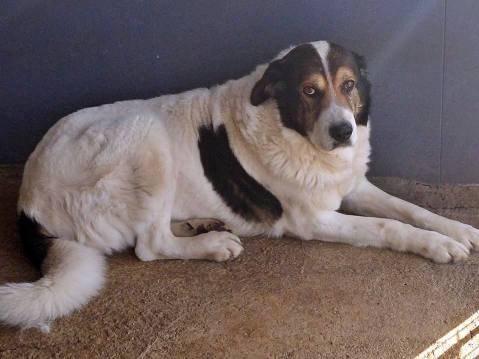 13418974_1232259283464516_1631595651668366647_n