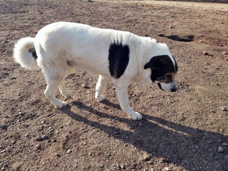 13419209_1232259200131191_7214040417407301423_n