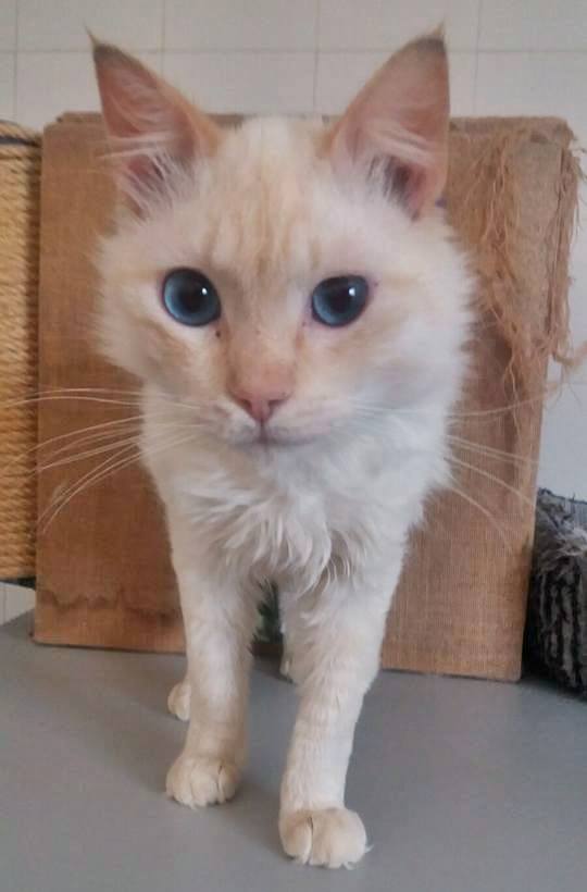 13423926_1232169320140179_407025554154465225_n