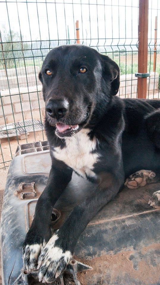 13427862_1231494493540995_355182114290454787_n