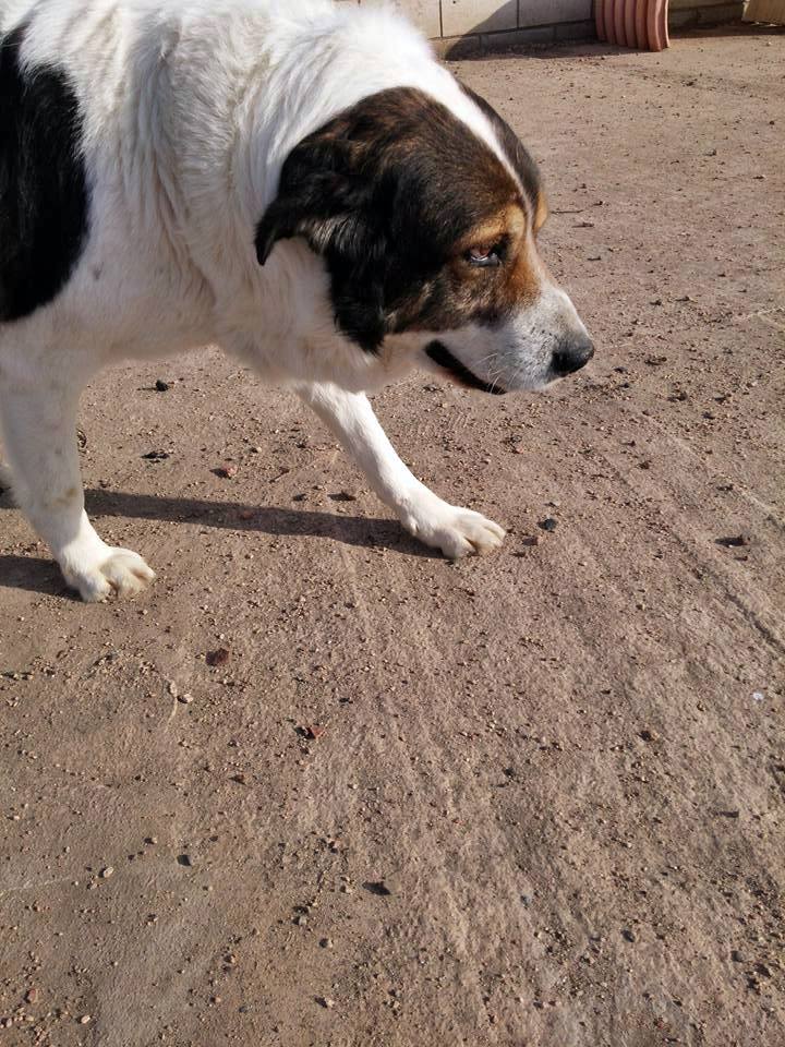 13427952_1232259196797858_2759369449195519654_n