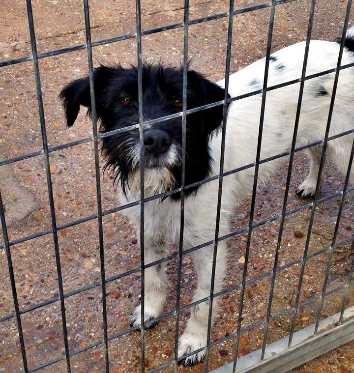 13432143_1233574163333028_4048487273436993251_n