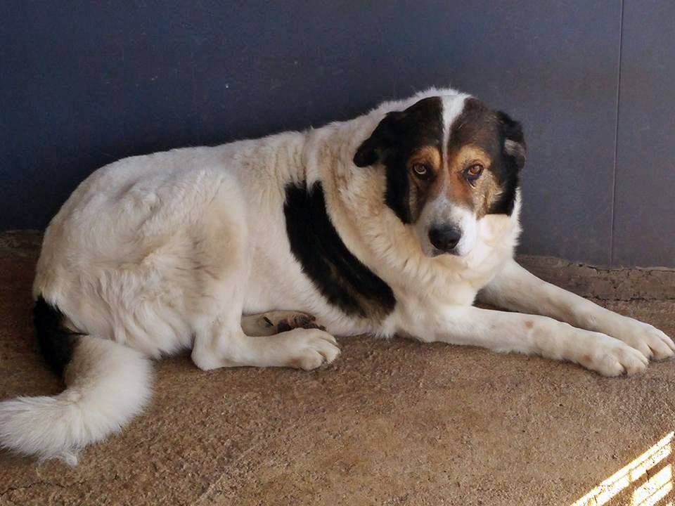 13445258_1232259330131178_4780208837354998723_n