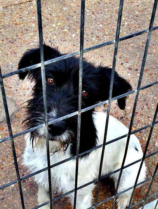 13445311_1233574136666364_5096790999604649498_n