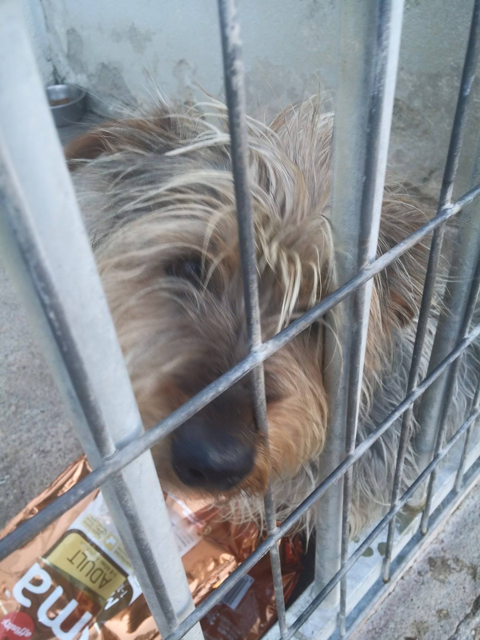 13458588_1232156576808120_6110464278502602098_o