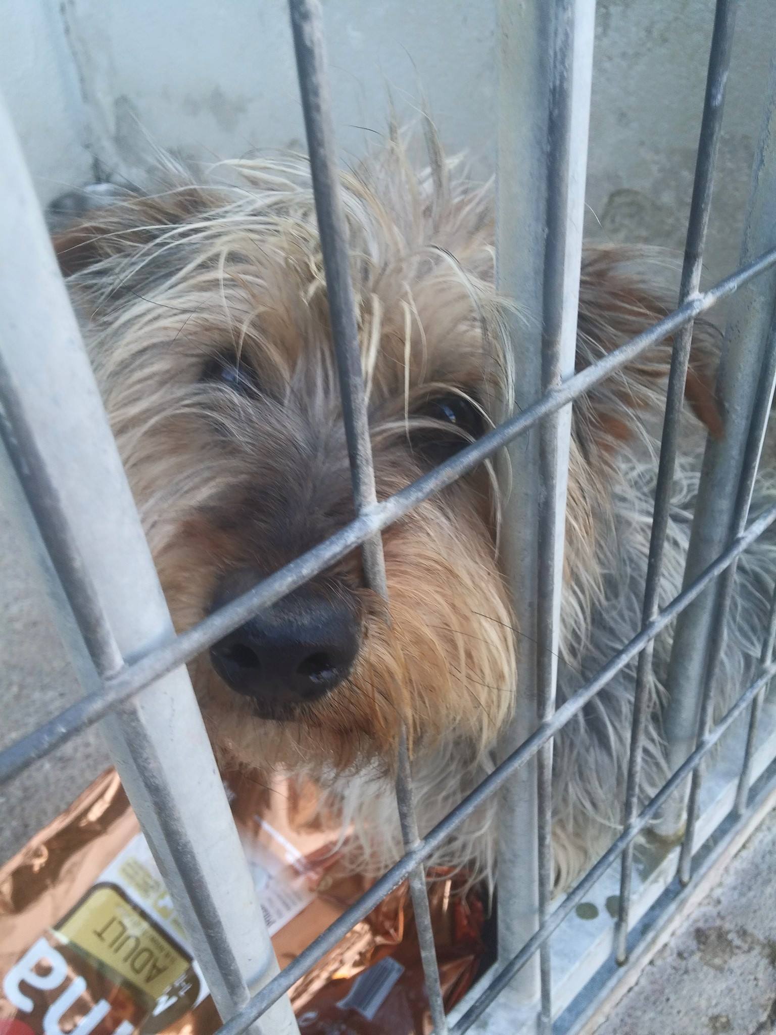 13474975_1232156360141475_4234565669941824495_o