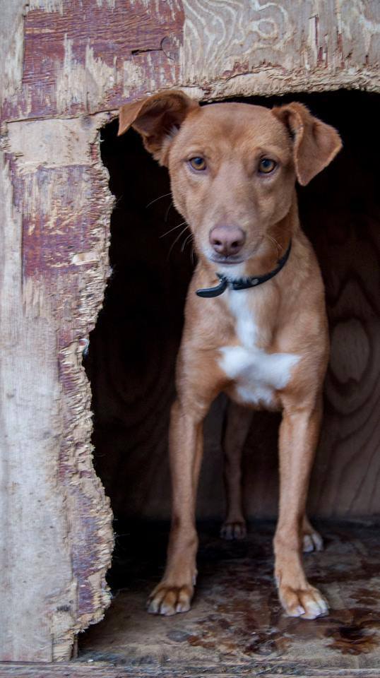 13501747_1242034322487012_246592984283251448_n