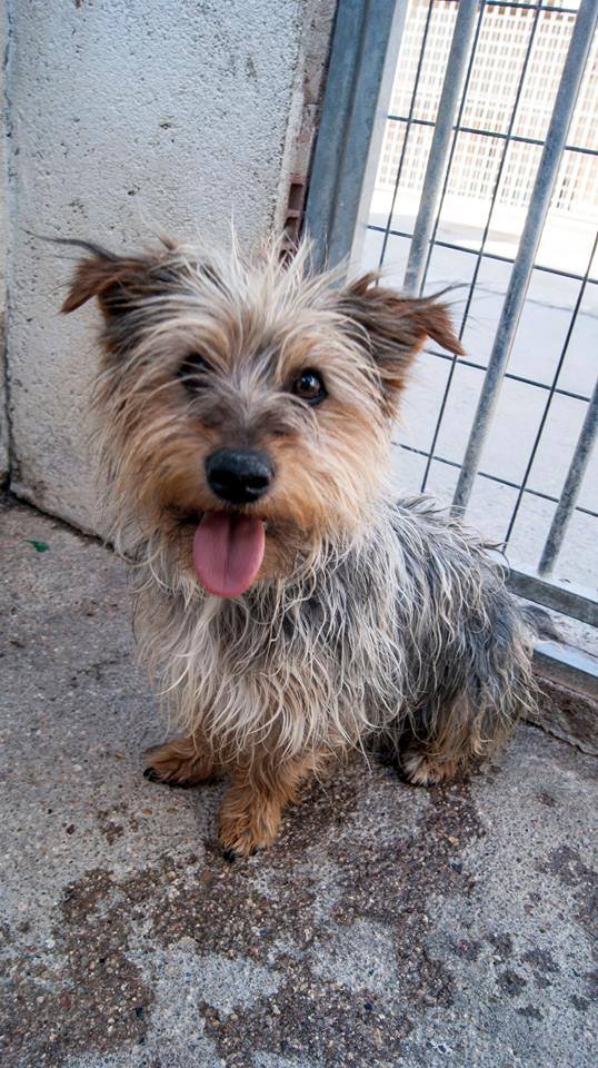 13508914_1240661455957632_4571685961371666537_n