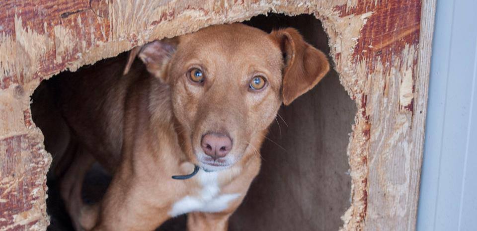 13524356_1242034315820346_3343679599323818388_n