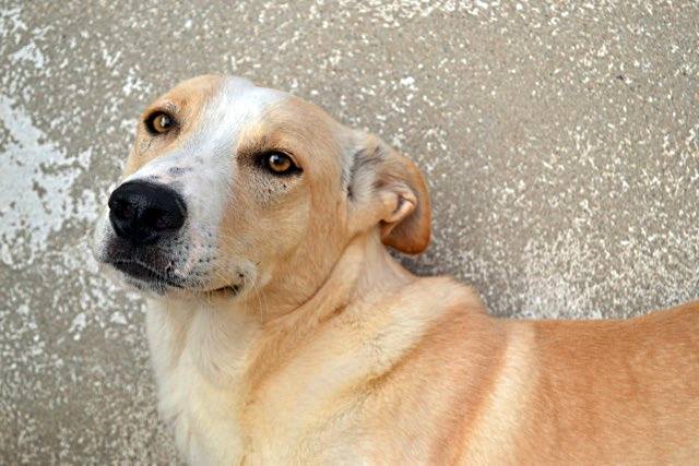 14570222_1340833749273735_3432052374273012713_n