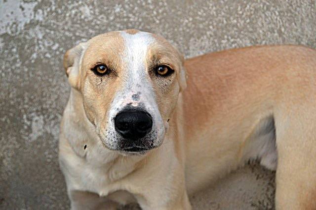 14650076_1340833665940410_9127921137360008019_n