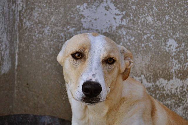 14650624_1340833632607080_4502883638654259615_n